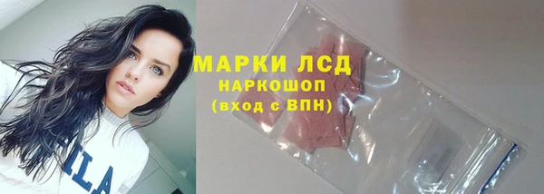 твердый Ельня