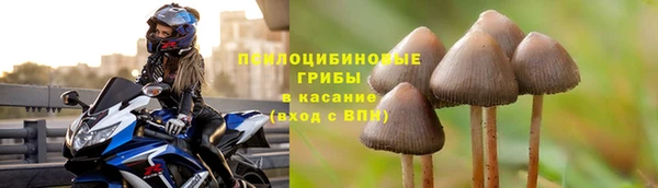 твердый Ельня