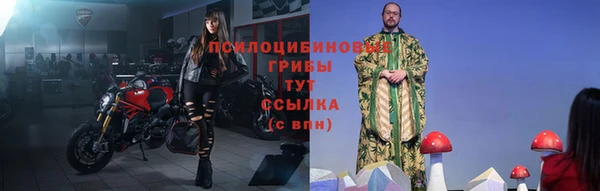твердый Ельня