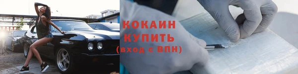 твердый Ельня