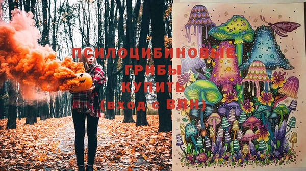 первитин Елизово