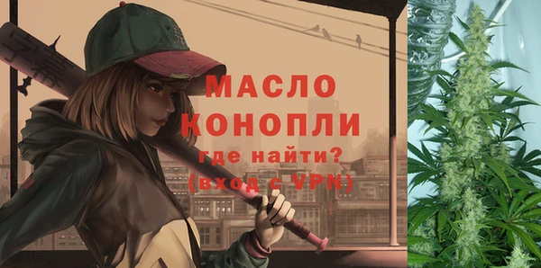 твердый Ельня