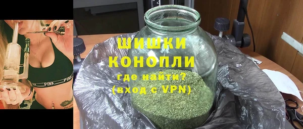твердый Ельня