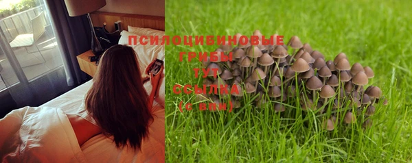 твердый Ельня