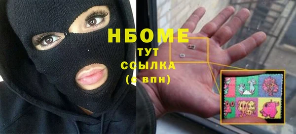 твердый Ельня