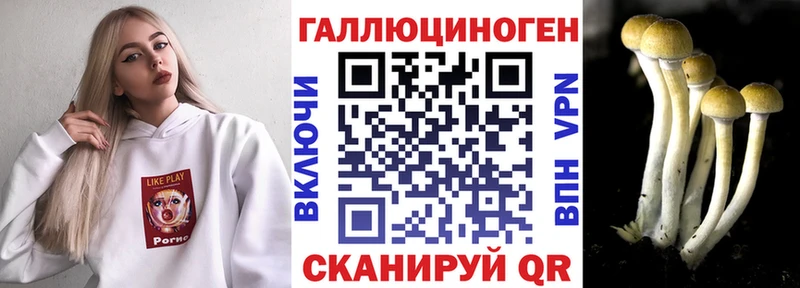 где купить наркоту  Шацк  Галлюциногенные грибы прущие грибы 