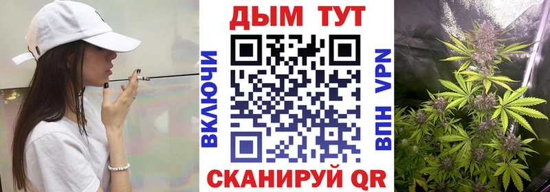 Конопля конопля  сколько стоит  OMG онион  Шацк 